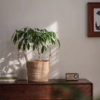 French Country Woven Planter Basket