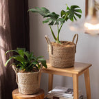 French Country Woven Planter Basket